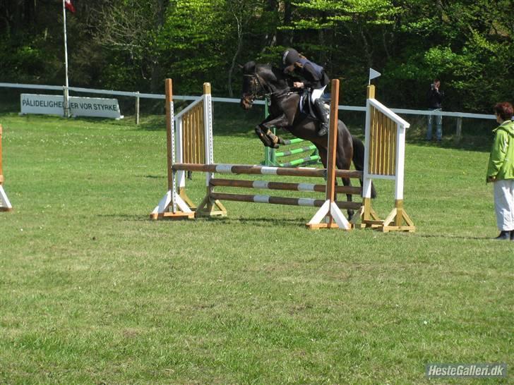 Anden særlig race Westergaard`s Mike-B-Pony - Mike du er SÅ dygtig <3 (L) Foto: Julia tusinde tak <3 billede 11