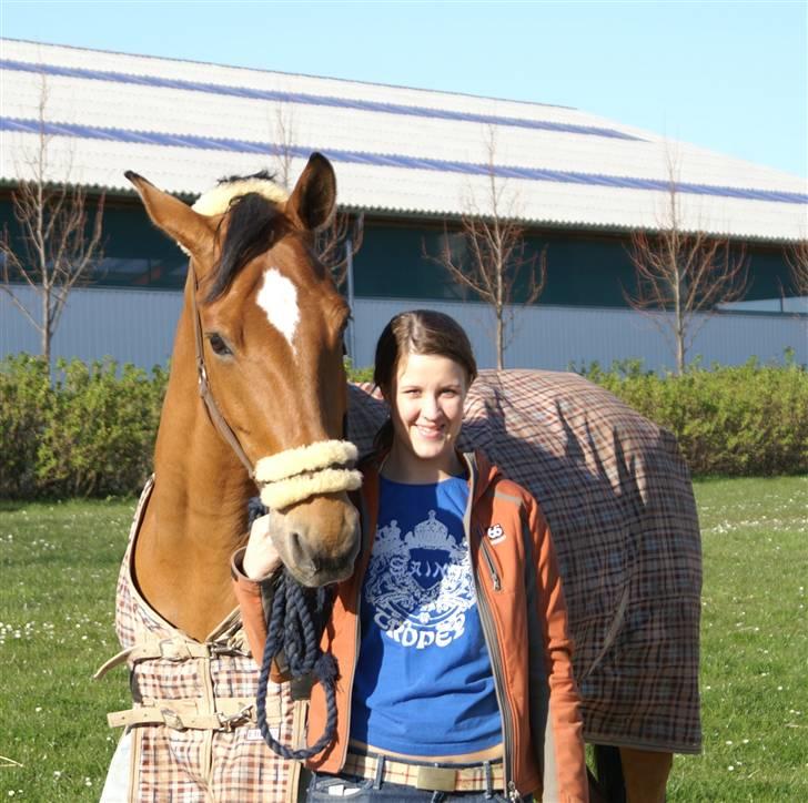 Dansk Varmblod Loredano Foldager - Mig og Lillebror, den dag han gik gennem dyrlæge og han blev min :D Den 22. april 2008 <3 billede 15