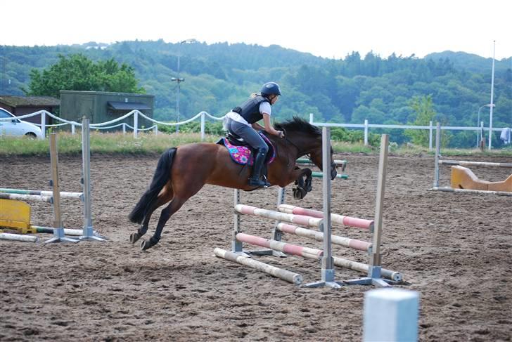 DSP Easy Touch | SAVNET - Nuurh :D billedet er taget af Liv Rytter, tusinde tak :) billede 19