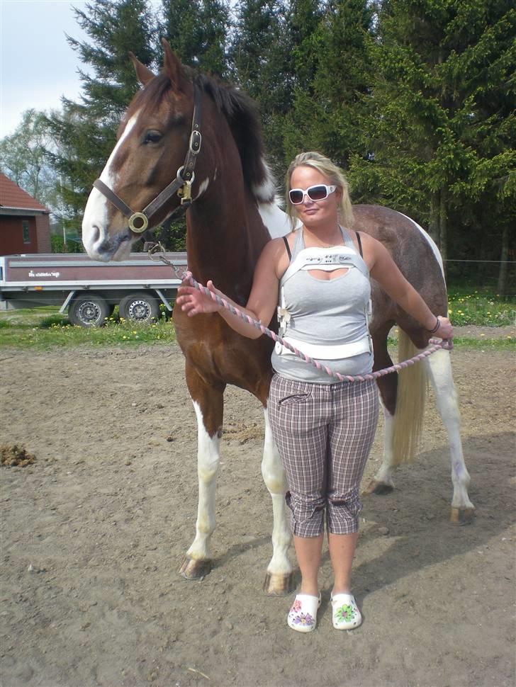 Pinto Hedens Chateau billede 10