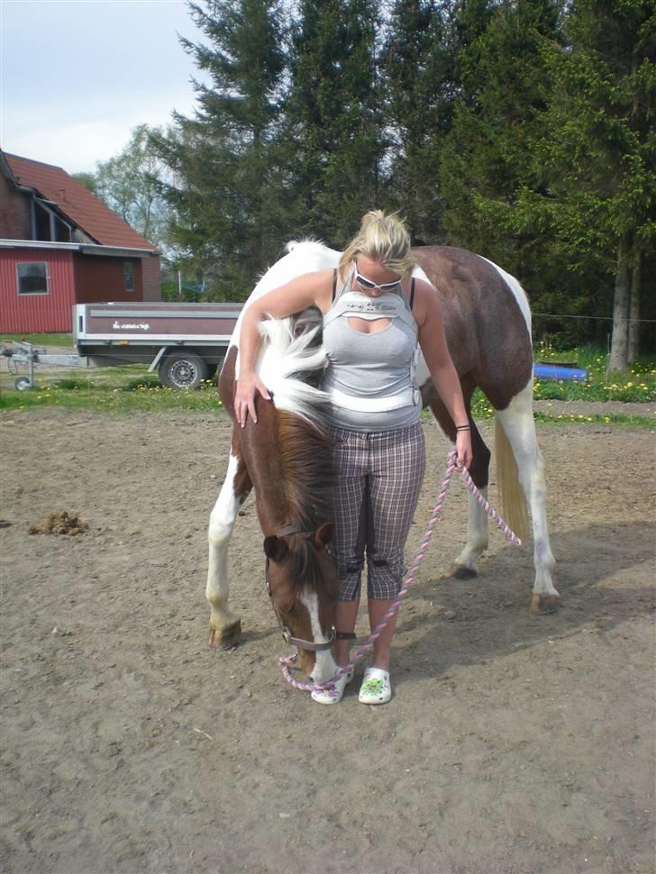 Pinto Hedens Chateau billede 11