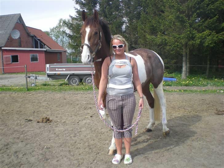 Pinto Hedens Chateau billede 12