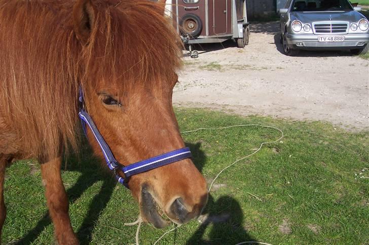 Islænder Kylja <3 Miss ya' <3 - Velkommen til kylja´s profil <333 foto: mig billede 1