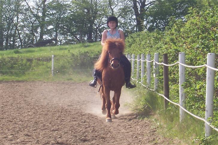Islænder Kylja <3 Miss ya' <3 - Jeg rider hende. Ved godt jeg ser dum ud... foto: anja miin billede 2