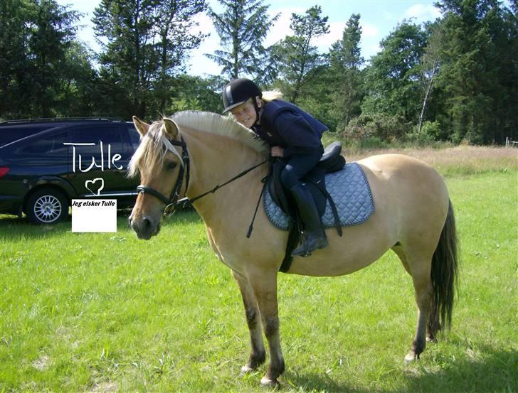 Fjordhest Tulle - nede i den lille kasse står der : Jeg elsker Tulle billede 16