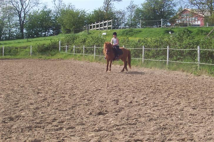 Islænder Kylja <3 Miss ya' <3 - Rider  foto: Anja miin billede 8