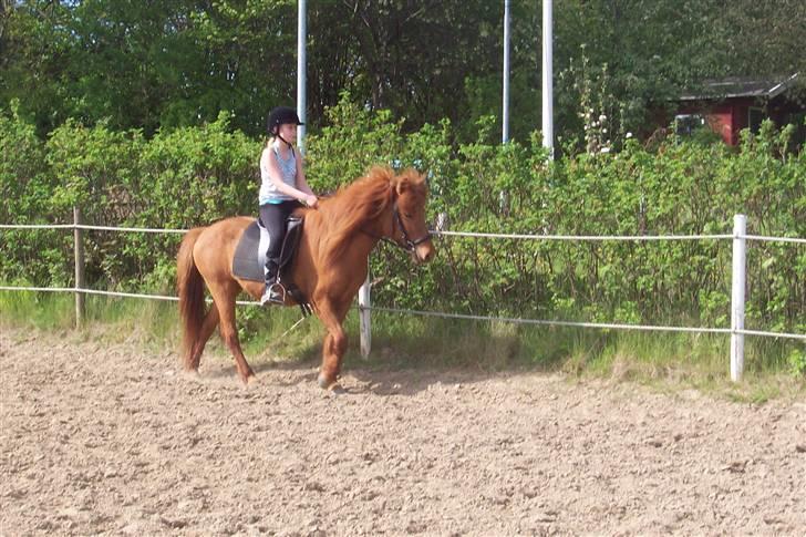 Islænder Kylja <3 Miss ya' <3 - Skridt billede 9