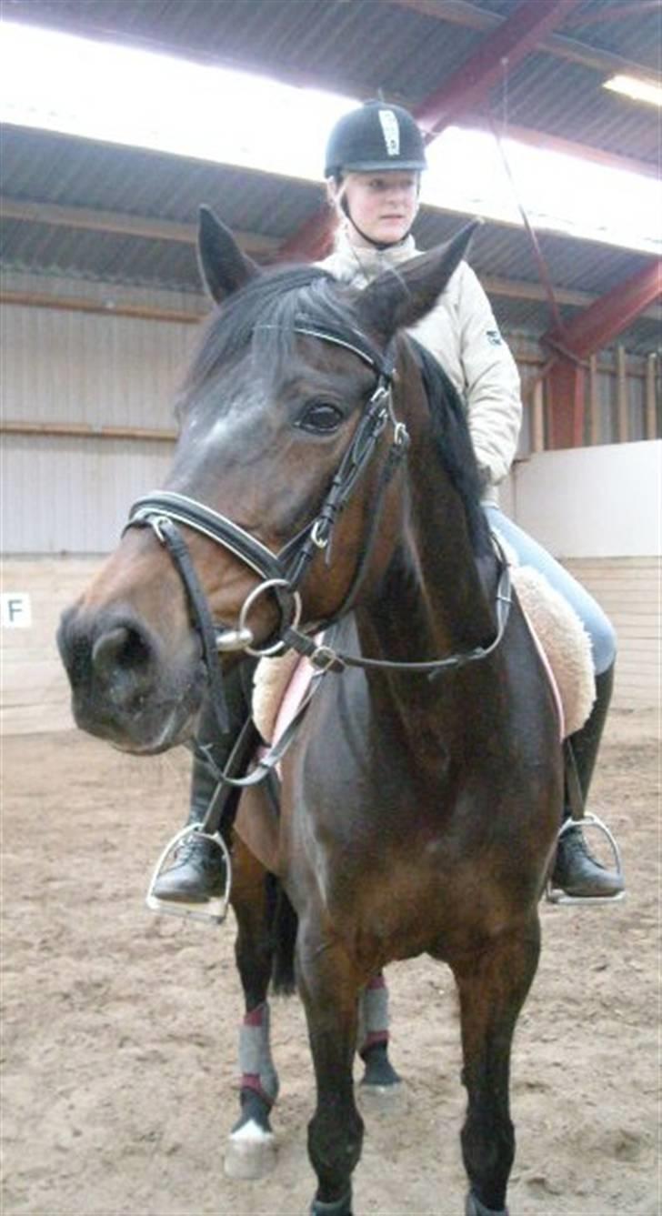 Traver anni caine   Solgt - Camilla og anni caine i parade billede 9