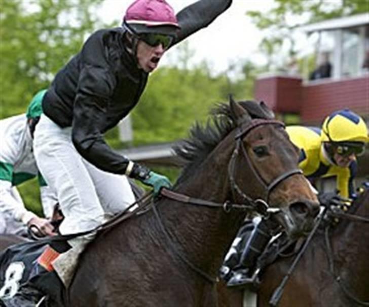 Fuldblod (XX) Call Girl xx - ready eddie, nu pensioneret og hygge hest hos eddie skoller billede 5