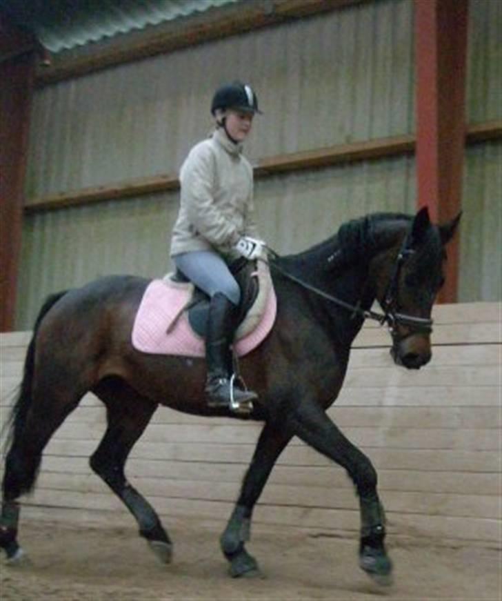 Traver anni caine   Solgt - De passer da meget godt sammen:) billede 14