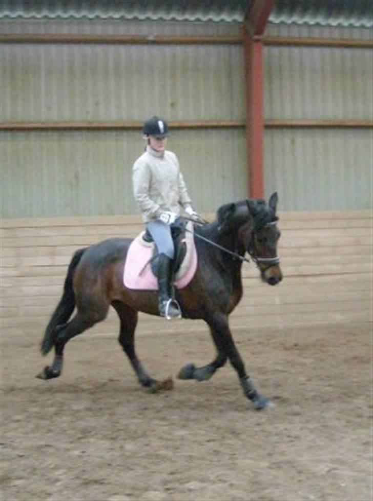 Traver anni caine   Solgt - Camilla og anni caine igen:) billede 15