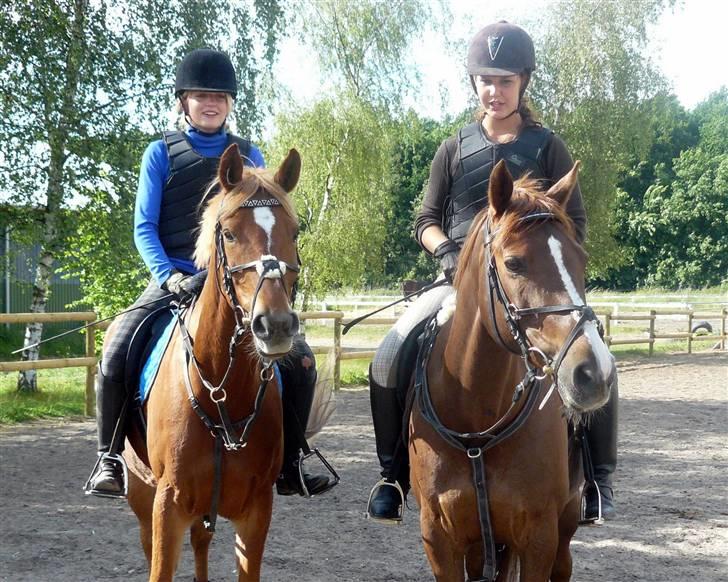 Anden særlig race Mr. Magic B-pony SOLGT - Magic og Mowgli Team M & M´s :P billede 18
