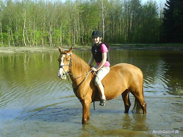 Hollandsk Sportspony  | Chantelle <3 - SAVNET !! <3 - Mig og chantelle i badesøen.... billede 13