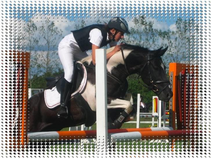 Pinto Hot pinto - I must continue without you, never believe them if they say, I´d like to. Cause I dont! I HATE it. I lost you!? billede 1