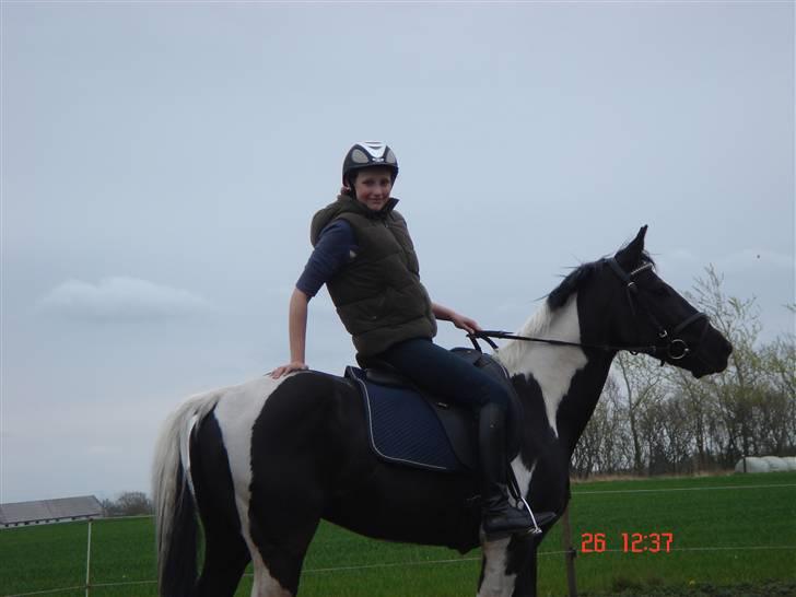 Pinto Hot pinto - Fly on, fly on.. Fly on my angel. Then you may fly back to me! My sweet angel :´( billede 3