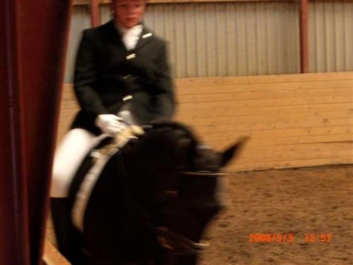 Dansk Varmblod Feli Rex - Stævne I TBR, red min Lc3 til 65,8% billede 8