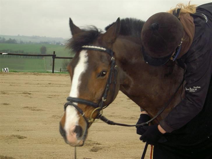 Connemara Birkely Little Teat R.I.P - ude og besøge zuck. da han stod ved jane ( ny ejer, lidt endnu) han e blevet sat tilsalg igen :( billede 8