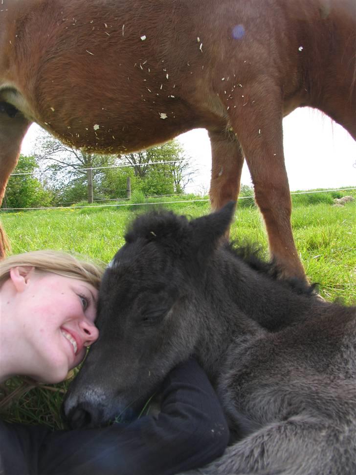 Islænder Ásdís fra Gedehøjgård - Ásdís og Anna (mig :P) <33 billede 5