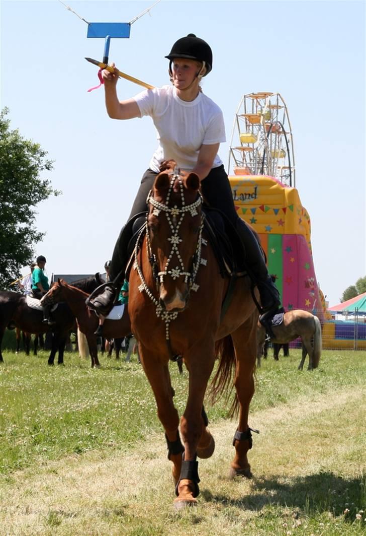 Holstener Allerbester 0004 - Vi har taget ringen:D Foto: Kim Bahnsen billede 16