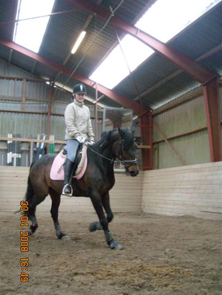 Traver anni caine   Solgt - Camilla sku lige prøve hende:) billede 16