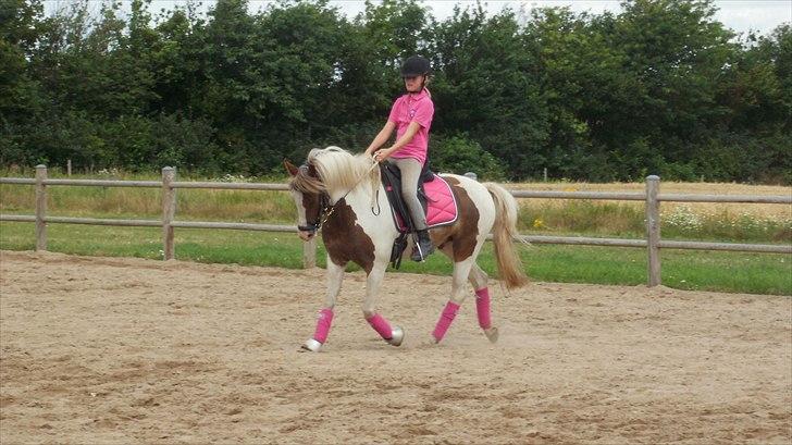 Anden særlig race Sunflower - B-PONY - undervisning ved Birgitte :) billede 12