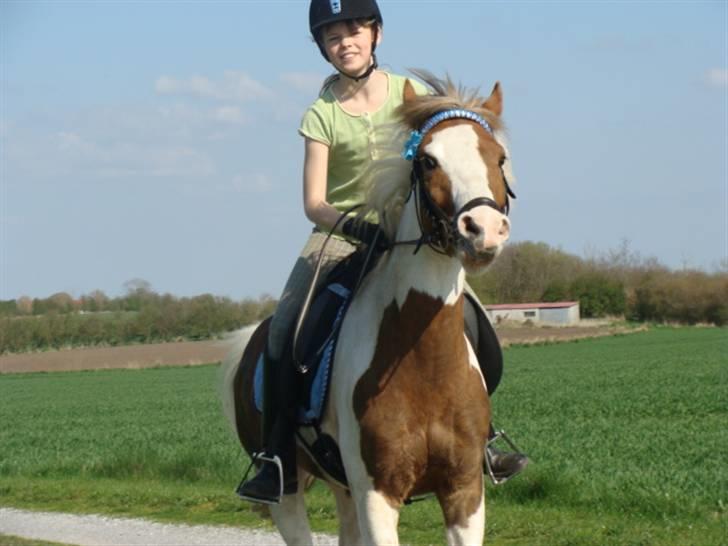 Anden særlig race Sunflower - B-PONY - Galop på Grusvejen, Mathilde Schmidt :) billede 18