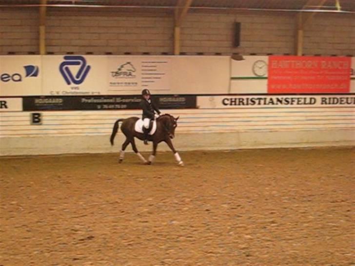 Anden særlig race  Escape  - Ej hvor er du sød.. billede 3