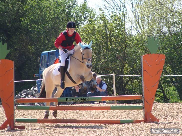 Fjordhest Haldans Jakob - Stævne på Birken.. 2008 billede 12