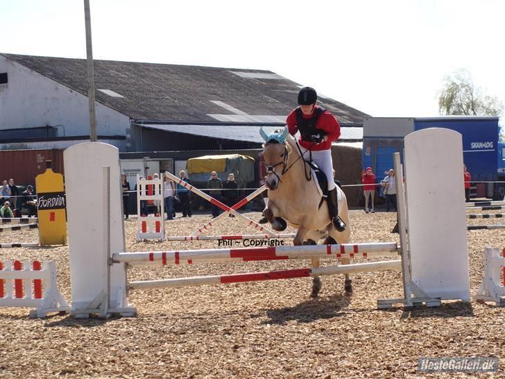 Fjordhest Haldans Jakob - Stævne På Birken.. 2008:P billede 13