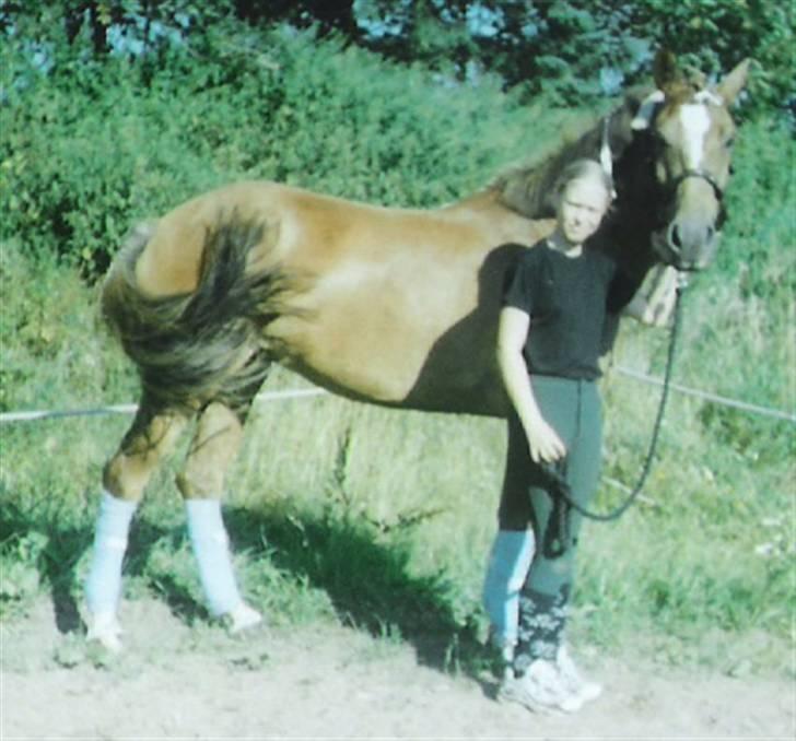Sportsaraber (A) laura-pony - laura er gjort klar til at skulle i byen med hende`s passer. billede 2