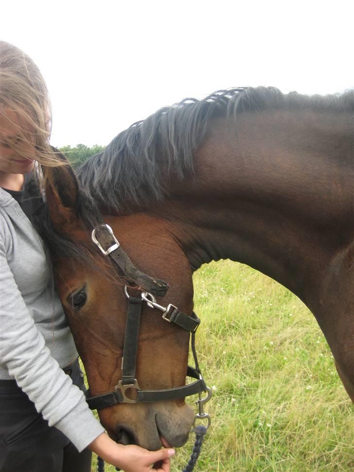 Anden særlig race Princess (Solgt) - Jeg elsker dig ! :´) <3 billede 8