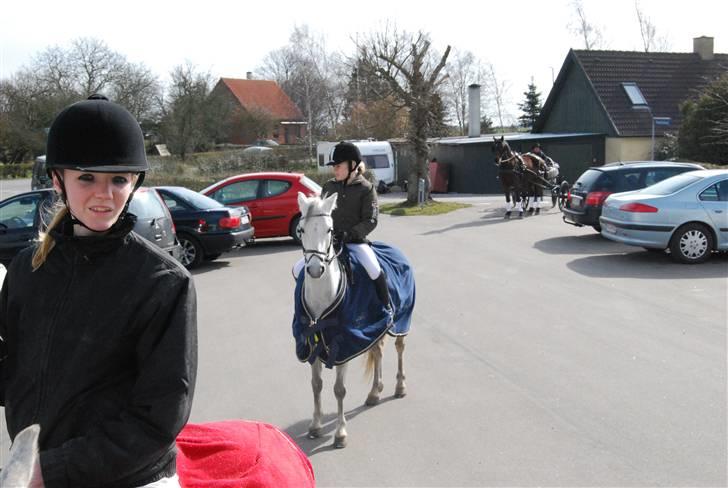 Welsh Pony (sec B) Lyngvejens Frajser R.I.P - mig på den 1. pony og frajser m. hende som har købt Aziz<33 billede 17