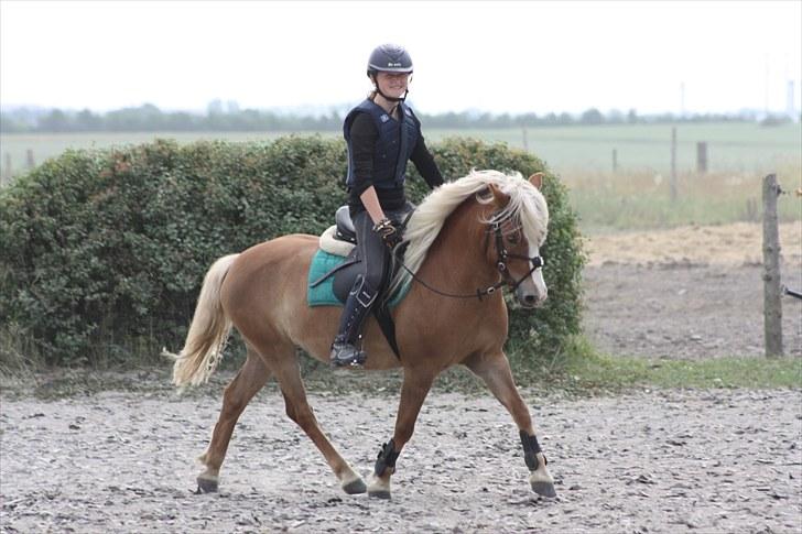 Anden særlig race » Miss Movie Star | SOLGT - Fordi det nu ikke er os to mere, desværre! )-´: <33 billede 18