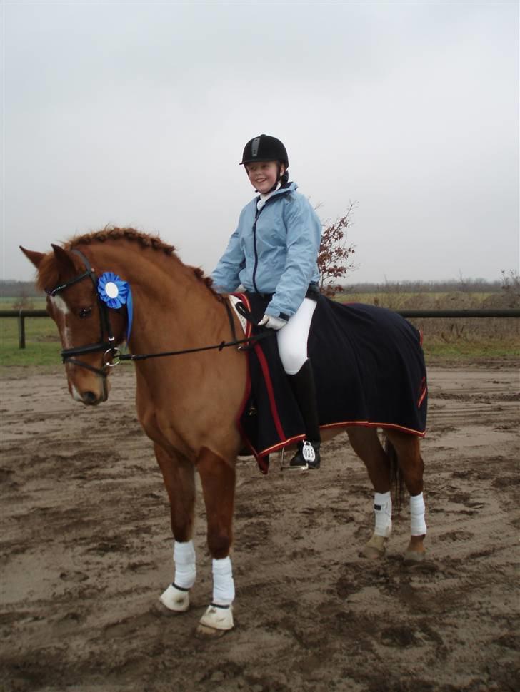 Hollandsk Sportspony Remco *R.I.P* - Remco og jeg i Hornum billede 2