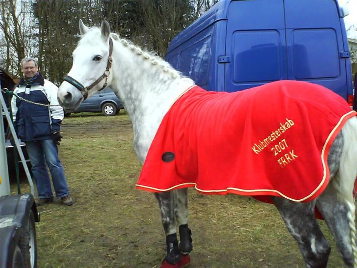 Anden særlig race Silver (SOLGT) - Silver efter stævne i Egtved. "The Pony in Red" :D :* Foto: Mor billede 12