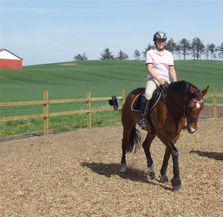 Anden særlig race Rebel R (Aflivet)  billede 16