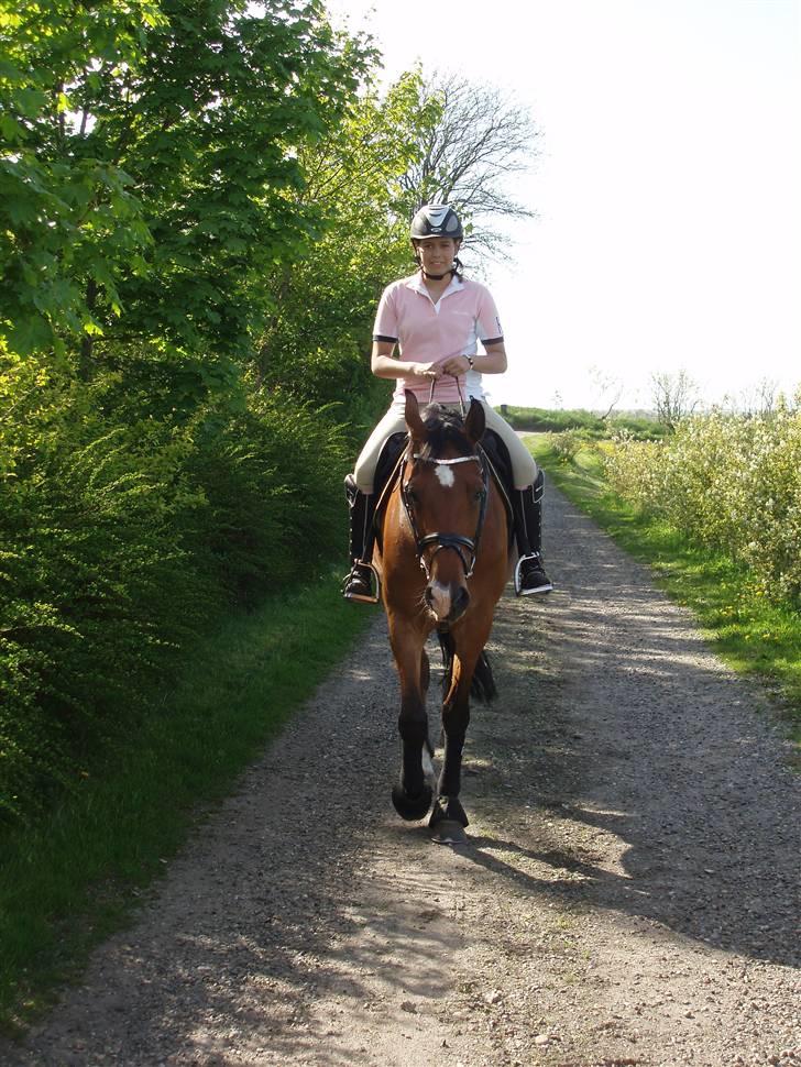 Anden særlig race Rebel R (Aflivet)  billede 19