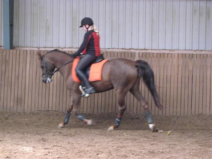 Anden særlig race  Escape  billede 4