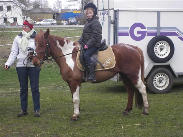 Pinto Nikita  - Igen min kusine..
Godt jeg gemte det underlag! Der står Nikita på den ene side, og Sofie Larsen på den anden :'D billede 10