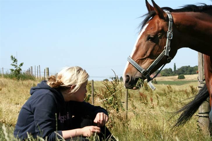 Hollandsk Varmblod Tarana <3 - Læg mærke til min trutmund ;D  billede 13