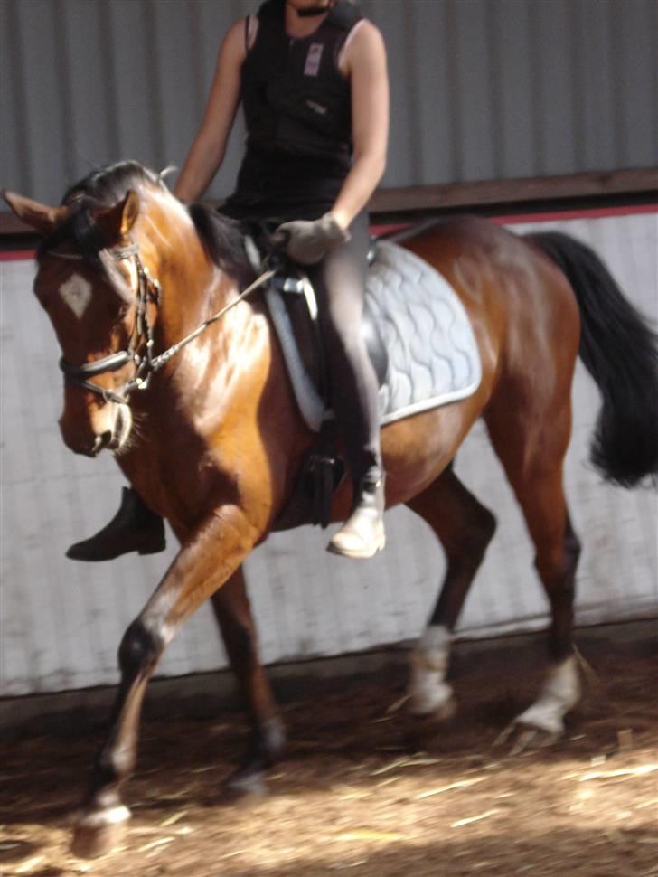 Trakehner Urban<3 *Gammel part* - mig og Urban (dressur den 6 juni 08) billede 17