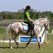 Anden særlig race ozzy <3 