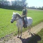 DSP Molly Malone*!!mindrøm!!*