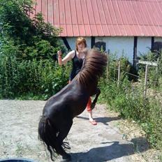 Miniature Herkules R.I.P