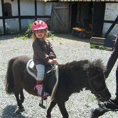 Miniature Herkules R.I.P