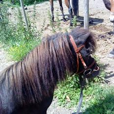 Miniature Herkules R.I.P