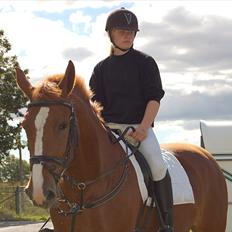 Anden særlig race | Gucci *Bumle*