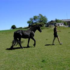 Frieser Lisa Zuidema R.I.P