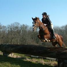 Sportsaraber (A) Vestergaard Emmi (R.I.P.)