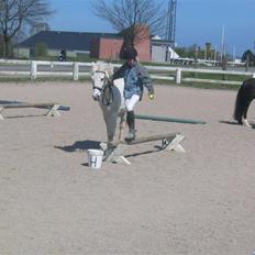 Anden særlig race Cutie Girl